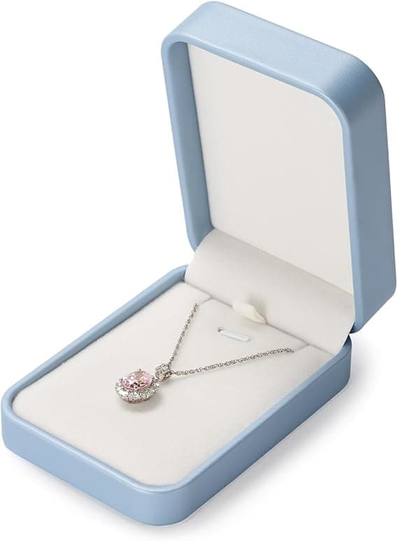 Detalle de Papten Collar Organizador de Joyería 💙 Caja de Regalo