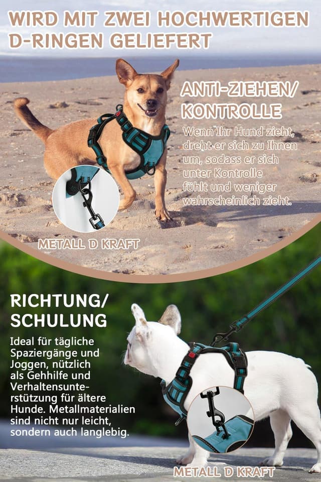 Detalle de BaoCheng Hundegeschirr Anti-Zug mit reflektierenden Elementen, Mesh-Rückenteil und 3 Schnallen (Größe M)