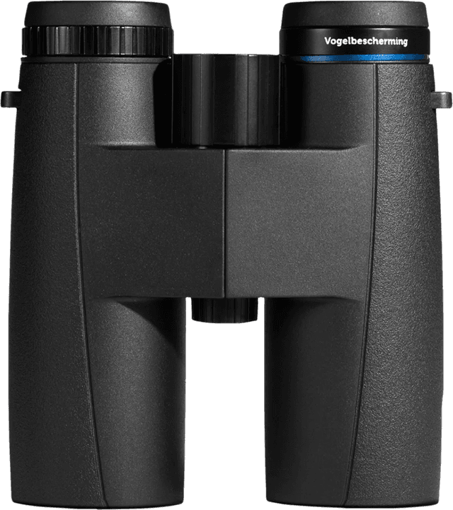 Detalle de Vogelbescherming Stern II 8x42 Fernglas – 8-fach, 8x42 für Vogelbeobachtung im Regen