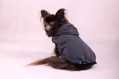 Thumbnail 4 de Flamingo LUZA Abrigo para perros 55 cm