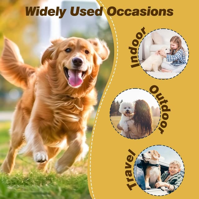 Detalle 2 de Hisprout 3-Pack Reusable Female Dog Diapers – Highly Absorbent, Breathable & Washable (M, Fruits)