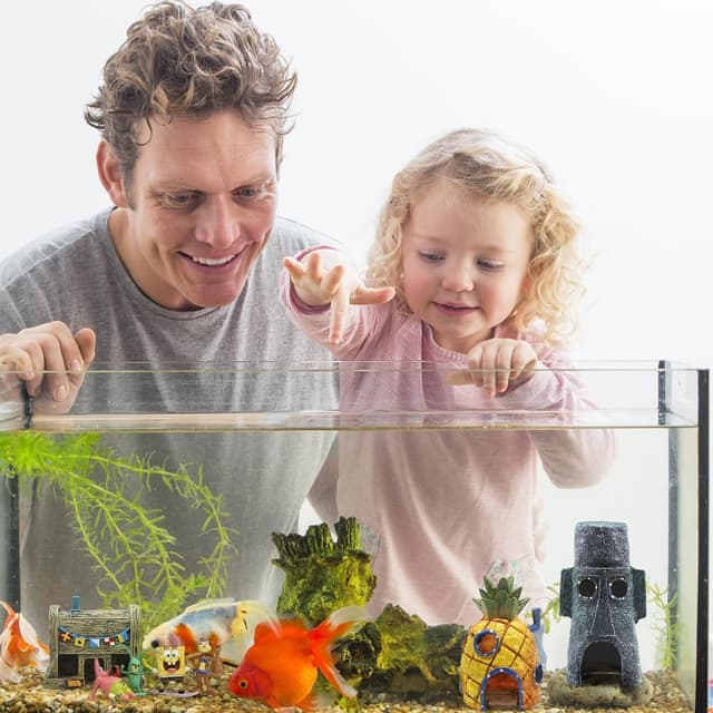 Thumbnail 4 de 11er Pack Aquarium Decoration