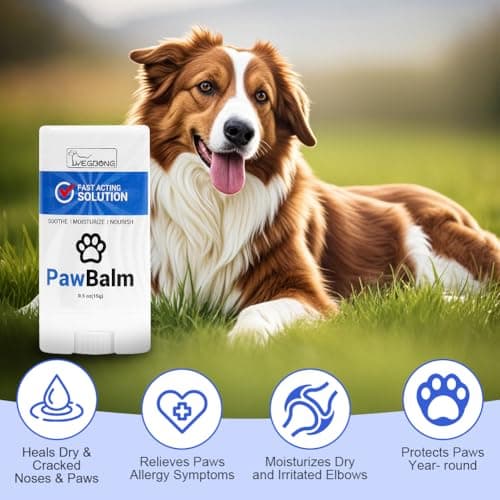 Thumbnail 2 de Aomig Balsamo per Zampe e Naso cane 2×15g 🐾