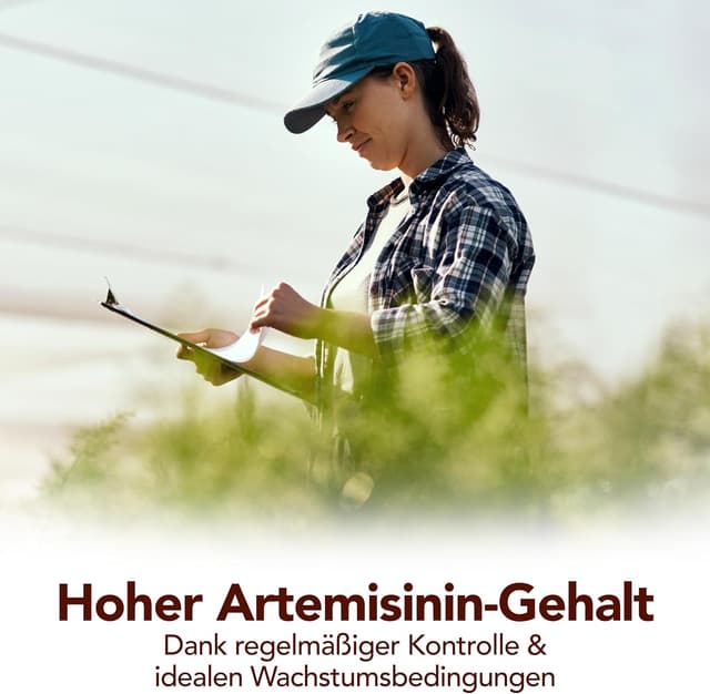 Detalle 2 de Premium Artemisia-Annua-Auszug 50 ml – alkoholfrei, 100% reines Naturprodukt