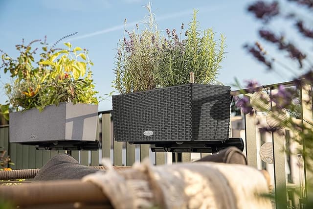 Thumbnail 6 de LECHUZA Balconera Cottage 50 macetero 50 cm