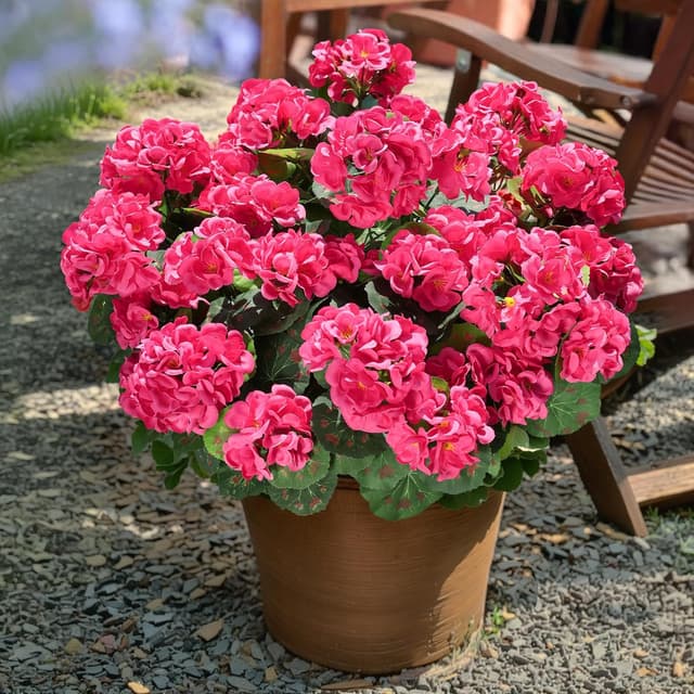 Detalle 2 de HyeFlora Artificial Geranium Fake Flowers for Outdoors Decoration (6 Bundles) — UV Resistant Silk, Hot Pink