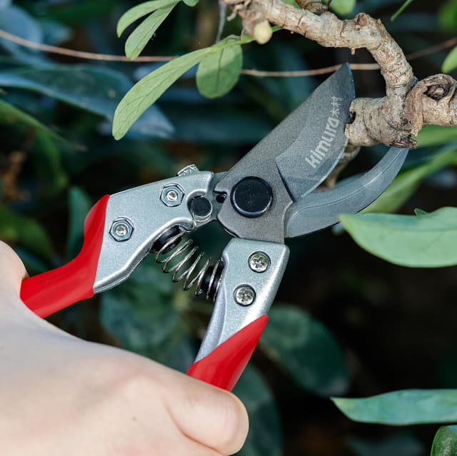 Thumbnail 4 de Kimura 8" Pro Bypass Secateurs ✂