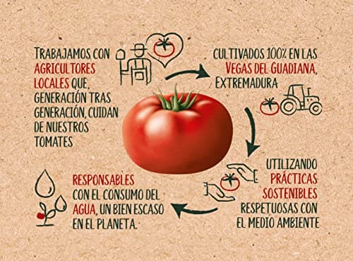 Thumbnail 6 de Solis Salsa de Tomate en Frasco Oliva 12x725g 🍅