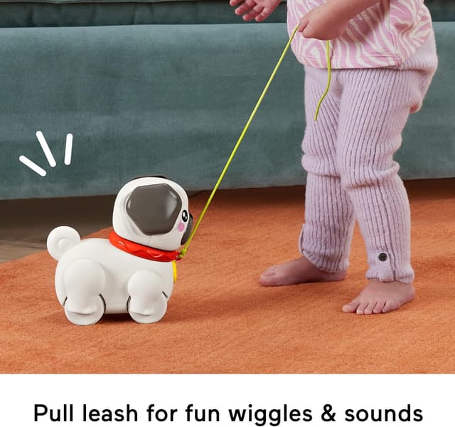 Detalle 2 de Fisher-Price FP Pets pull toy HTW94
