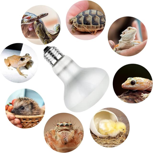 Thumbnail 6 de Adiwo Lampe Chauffante 75W pour reptiles