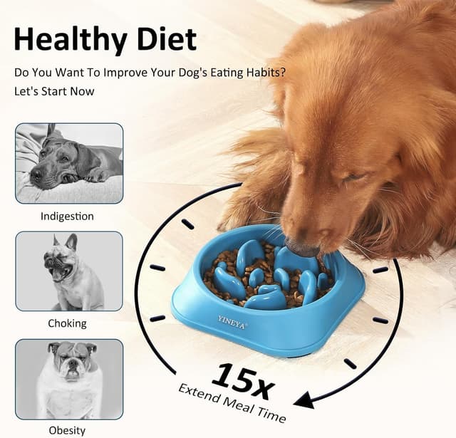 Thumbnail 2 de YINEYA 2 Cuencos alimentación lenta para perros
