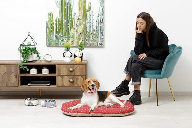 Detalle 2 de Baroni Home Cuscino ovale per cani 57x90