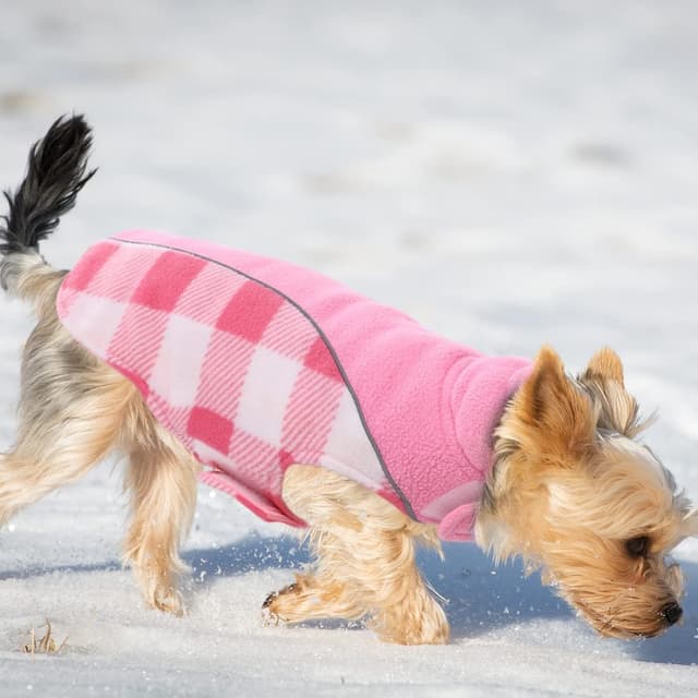 Thumbnail 5 de CITÉTOILE Warm & Windproof Dog Coat