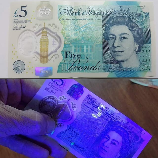 Thumbnail 4 de Lighting EVER Lepro LE UV Torch 395nm