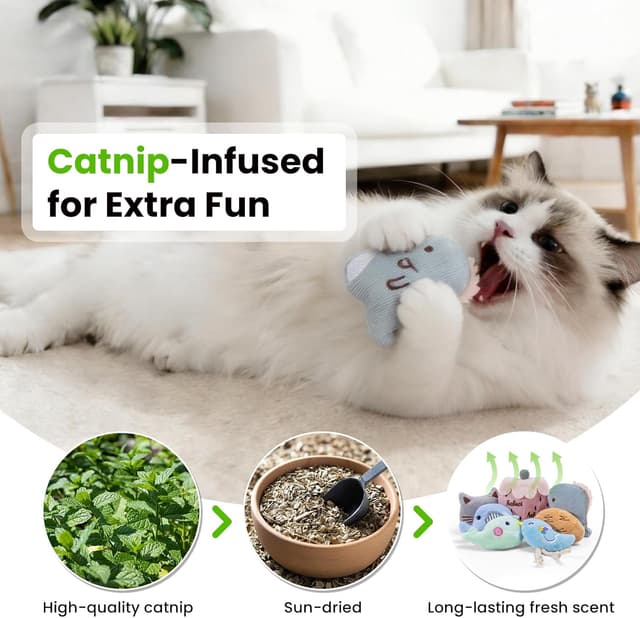 Detalle de Katzenspielzeug-Set mit Katzenminze: Katzenspielzeug Kissen & Matatabi-Sticks (37-teilig)