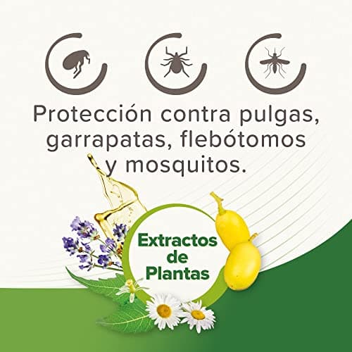 Detalle 2 de Beaphar Pipetas repelentes para perros medianos 2 ml