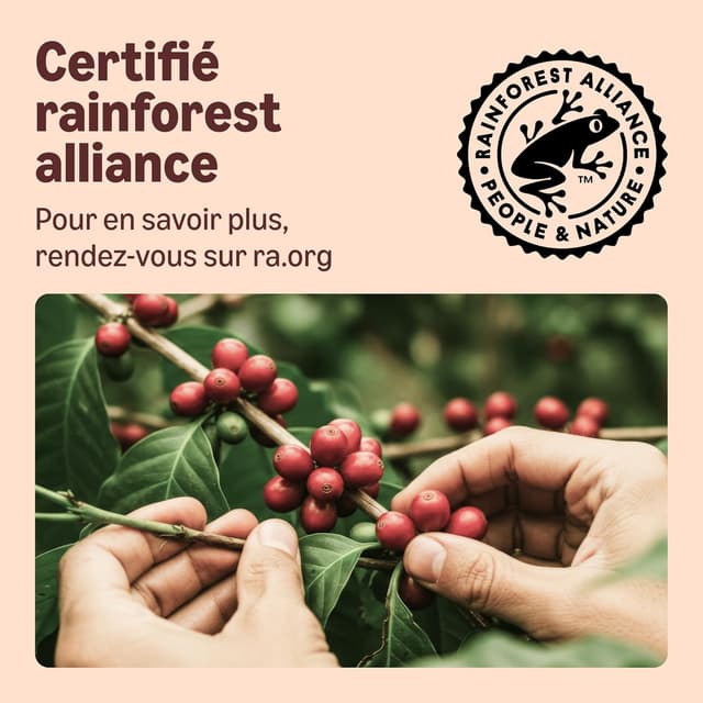 Thumbnail 5 de Amazon Capsules Café Compostables Nespresso 20x