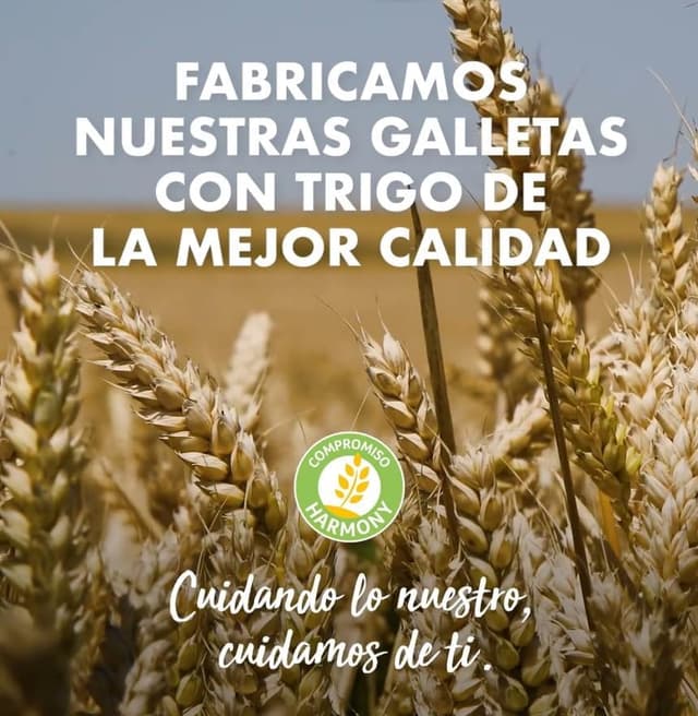 Thumbnail 5 de Fontaneda MarieLu Galletas Cereales 550 g 🍪