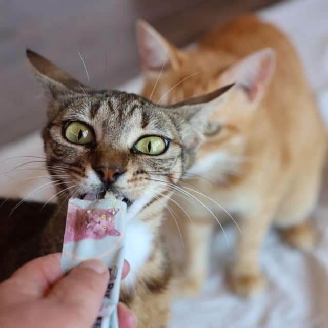 Detalle de RumbleBox Schleckies (Ultimate Sparbox) – getreidefrei & zuckerfrei, mit 70% Fleisch und Taurin