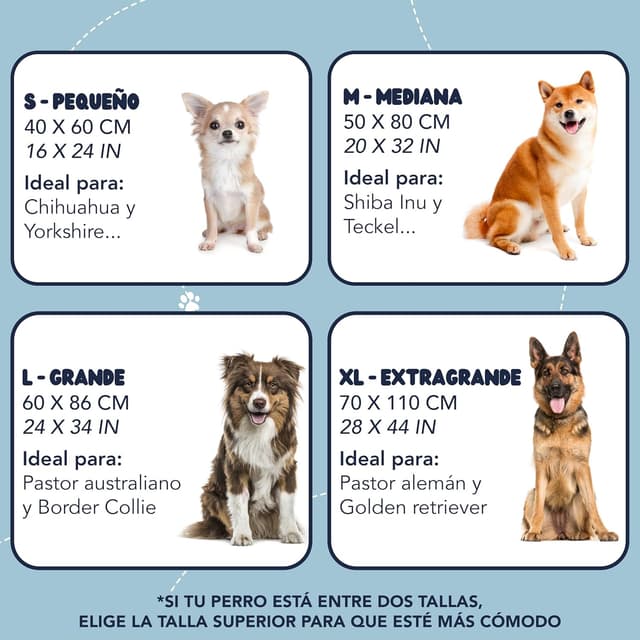 Thumbnail 5 de ZENAPOKI Cama Perro Grande XL cama ortopédica