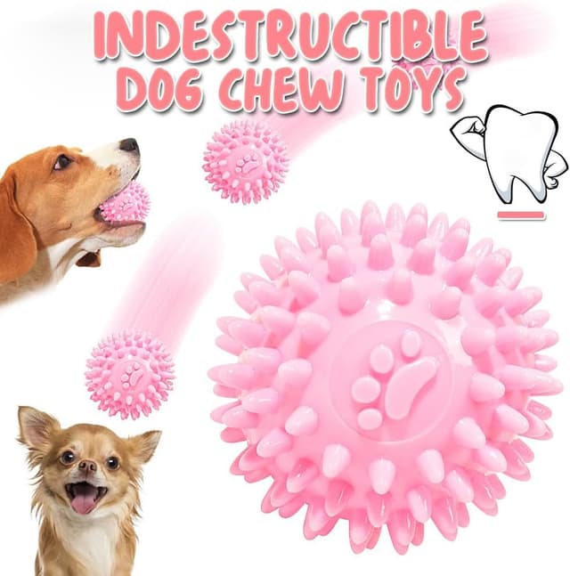 Thumbnail 6 de Hundespielzeug 10er Set Quietschend