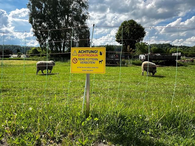 Detalle 2 de XXL Elektrozaun-Schild 30 x 40 cm