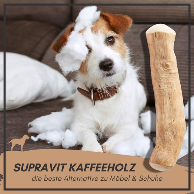 Thumbnail 6 de Supravit Natürlicher Kauknochen aus Kaffeeholz für Hunde L (Kaustab / Kaffeeholz-Kauspielzeug)