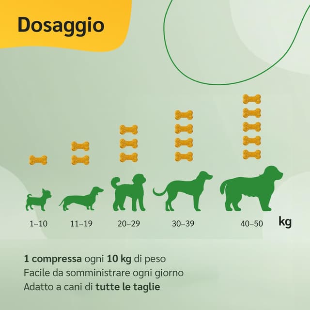 Detalle de amusi Integratore Articolazioni Cane 125 compresse con glucosamina, condroitina, MSM e curcuma