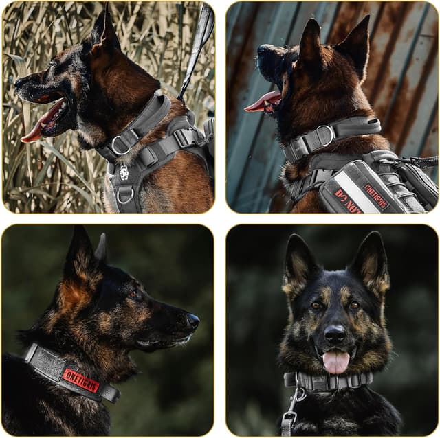 Detalle 2 de Collare per cani OneTigris con fibbia in metallo e anello a D, nylon imbottito (grigio)