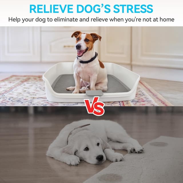 Detalle 2 de All For Paws Indoor Dog Potty Tray with Removable Post & Protection Wall (63 x 63 cm) – Large Mesh Grid Pee Pad Holder