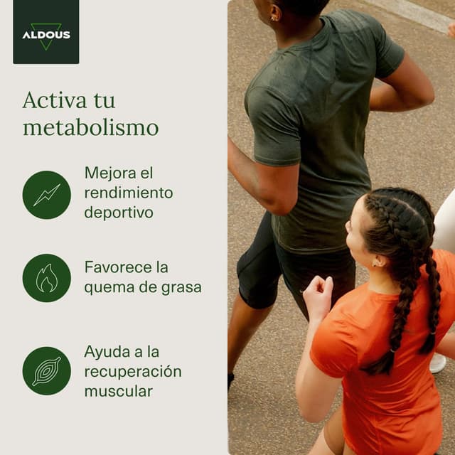 Detalle 2 de Aldous L-Carnitina 2000mg - 200 Comprimidos Energía y Resistencia🧪