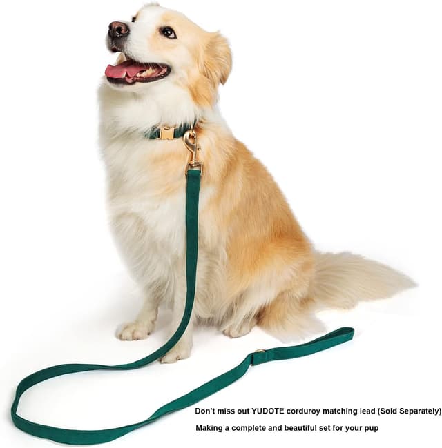 Detalle de YUDOTE Ultra-soft Dog Collar in Natural Cotton Corduroy (Medium) – Bottle Green