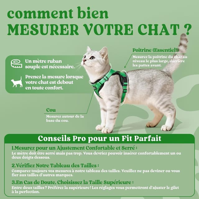 Detalle 2 de rabbitgoo Harnais chat anti-évasion avec laisse et gilet réfléchissant, réglable XS (vert herbe)