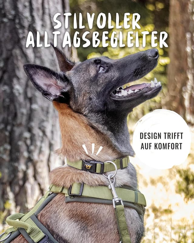 Detalle de Rudelkönig Hundehalsband Bella – verstellbares Nylon-Halsband für große Hunde in Khaki