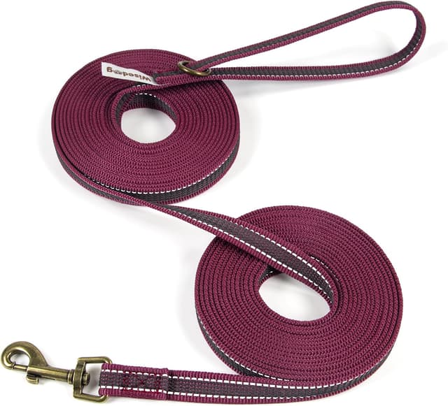 Detalle de Wisedog Schleppleine für Hunde mit reflektierenden Streifen (3 m) – Rückrufleine für Training, Tracking & Camping in Dunkelrot