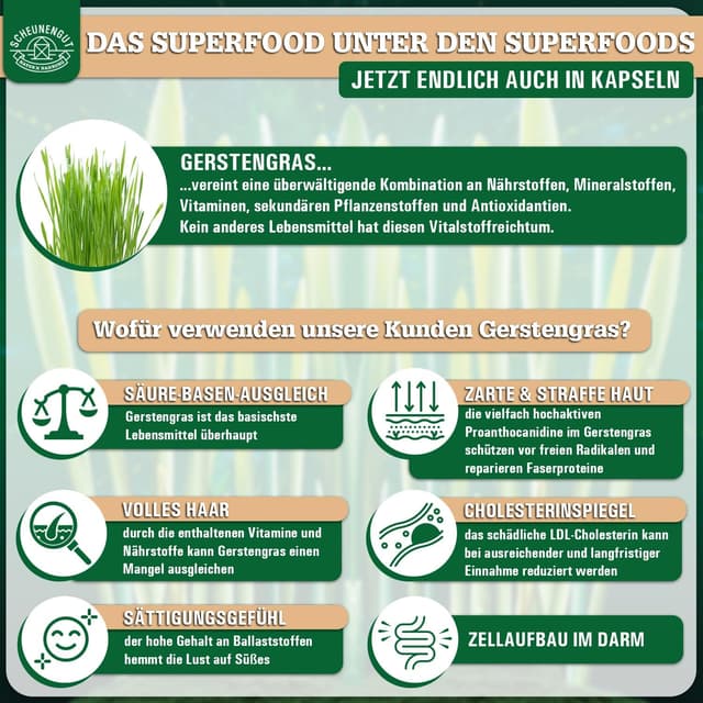 Thumbnail 2 de SCHEUNENGUT Gerstengras Kapseln 180 Stk.