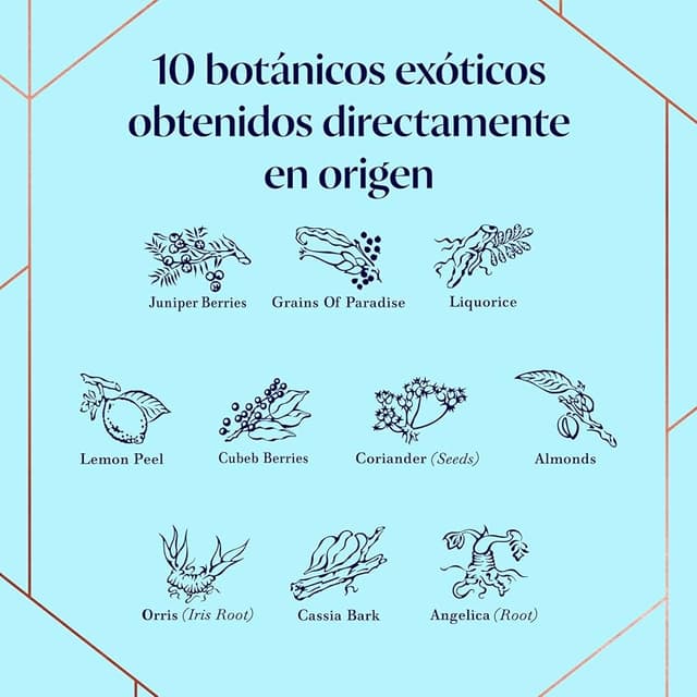 Thumbnail 5 de Bombay Sapphire Gin & Tonic en Lata, Listo Para Disfrutar 🍸