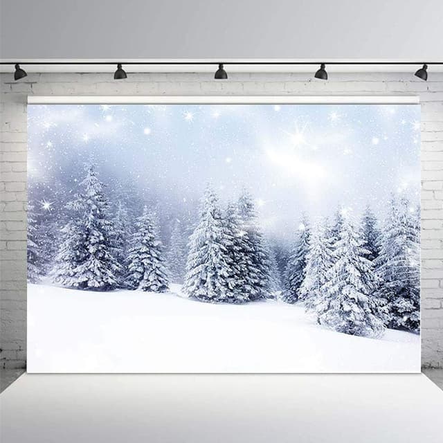 Detalle 2 de MEHOFOTO Winter Wonderland Background 2.1m