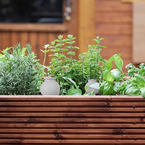 Thumbnail 4 de Relaxdays 4 Picos Globo autorriego 100 ml para plantas 🌱