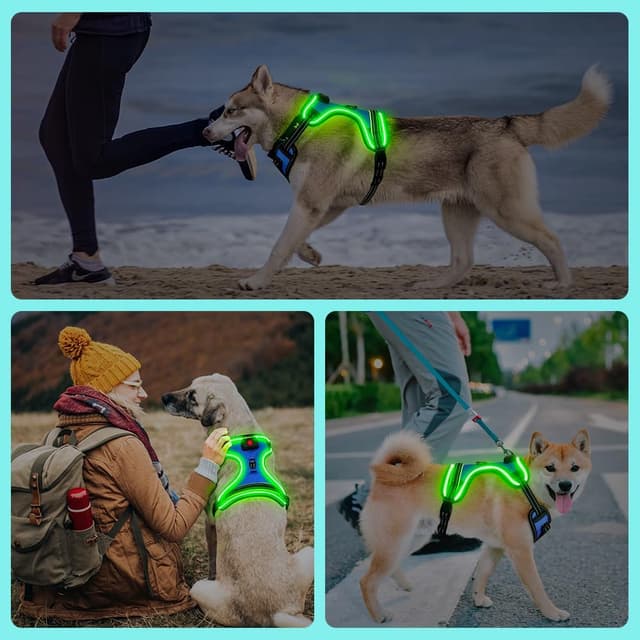 Thumbnail 6 de Ezierfy leuchtendes LED-Hundegeschirr (wiederaufladbar) mit reflektierender Hundeweste – Anti-Zug, 3 Leuchtmodi, Blau/Grün, Größe L