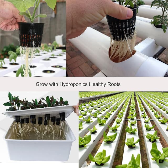 Detalle 2 de ORIMERC 40er Set 10 cm Netztöpfe für Hydrokultur (mit 20 m Selbstbewässerungsdocht) – Gitterbecher für Hydroponik, Aquaponik & Kratky