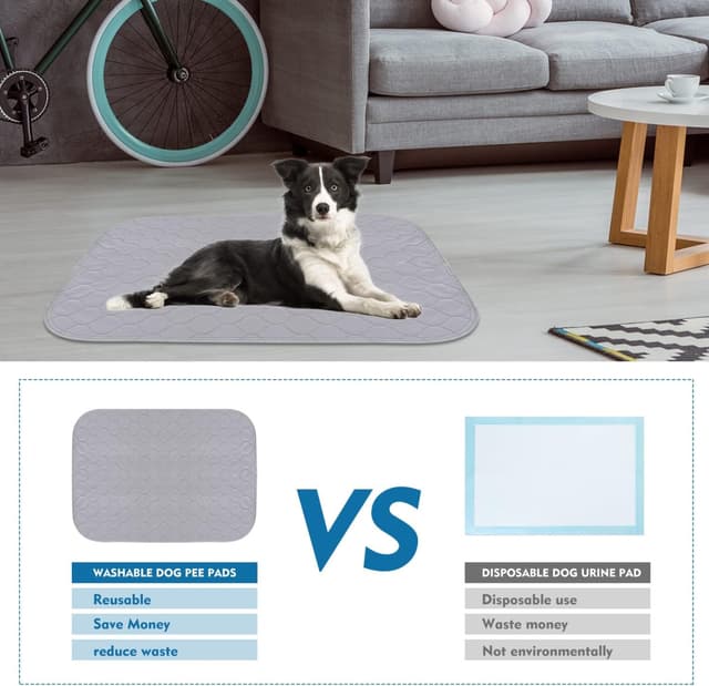 Thumbnail 5 de Nobleza Alfombra Educadora para Perro 75 x 89 cm