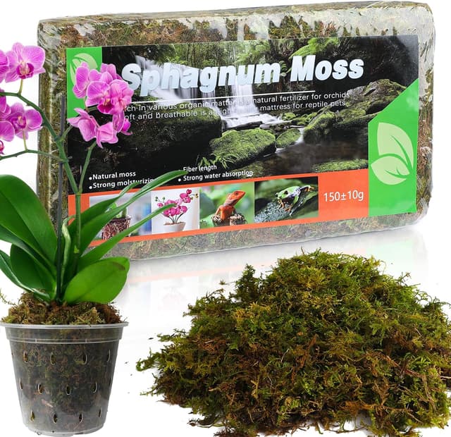 Detalle de Sphagnum Moos 2er Pack für Pflanzen 10 L