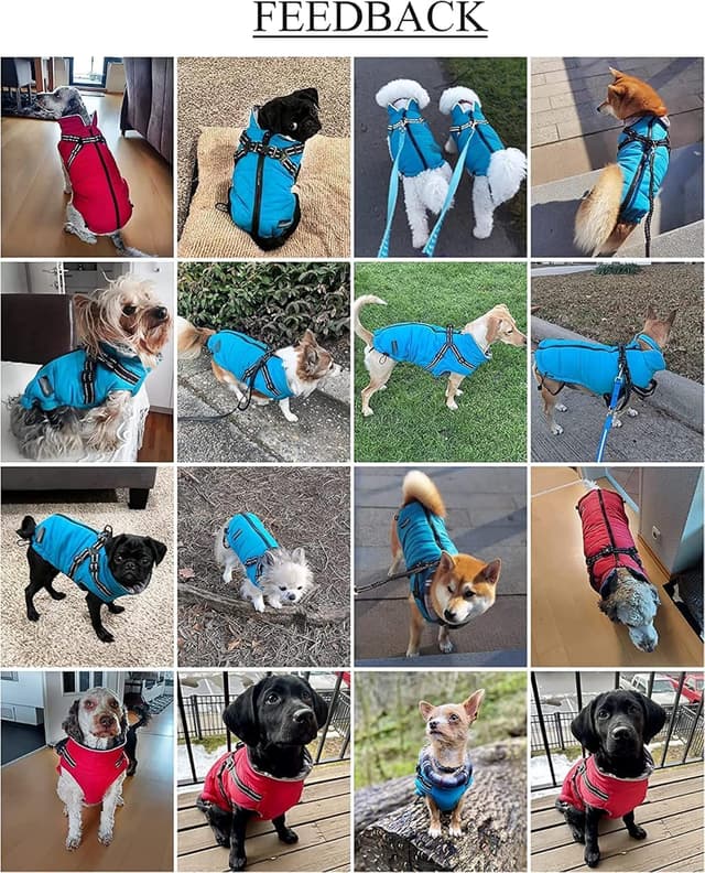 Detalle de babepet Warm Pet Dog Coats with Harness – Waterproof Green Small Dog Jacket Coat (with Chest Strap, Zip Up) – XL