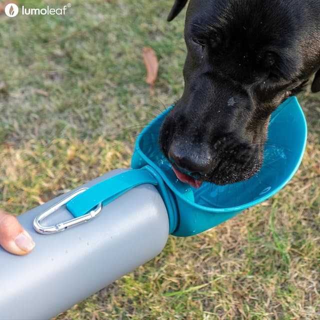 Detalle de Gourde isotherme pour chien LumoLeaf 800 ml en acier inoxydable avec gamelle intégrée