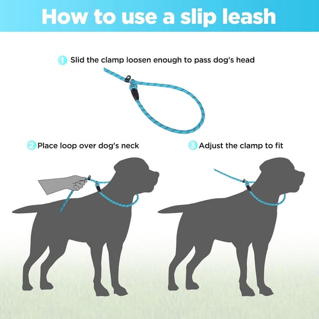Detalle 2 de Loutep slip lead for dogs 1.8m rope leash with reflective stitching