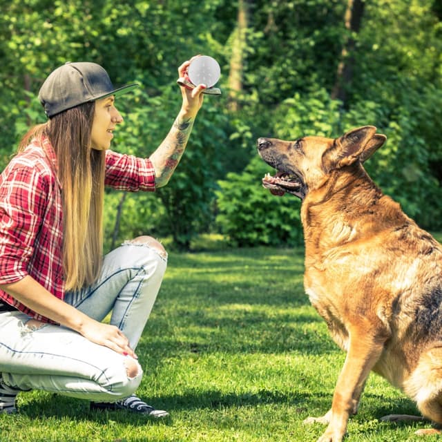 Thumbnail 5 de Baluue Dog Scent Training Case 2.68in