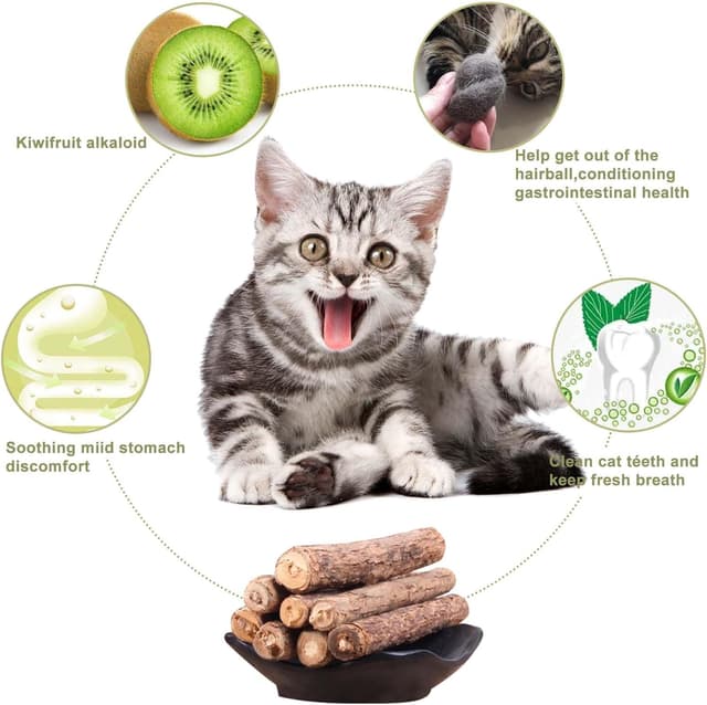 Detalle 2 de SeaMorn Matatabi Silvervine Kausticks (30 Stück) – Katzenminze-Spielzeug für Zahnpflege & gegen Mundgeruch