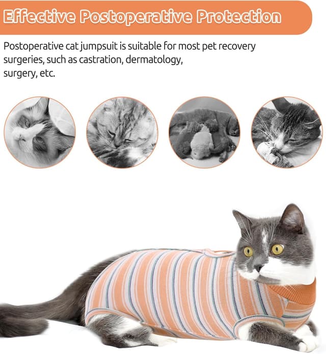 Thumbnail 2 de CITÉTOILE Katzenbody XS 🐾