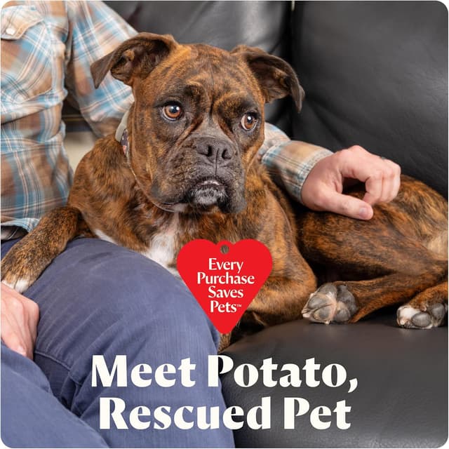 Thumbnail 6 de BISSELL Little Green Mini Cordless Portable Deep Cleaner (4015) for Carpet & Upholstery